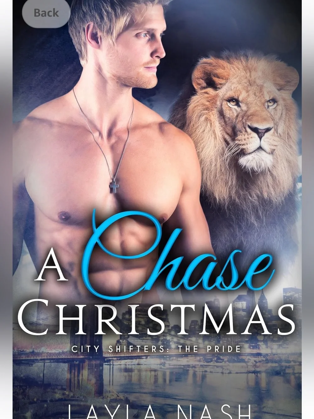 A Chase Christmas - Layla Nash paperback